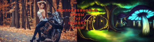 прущий лед Алексин